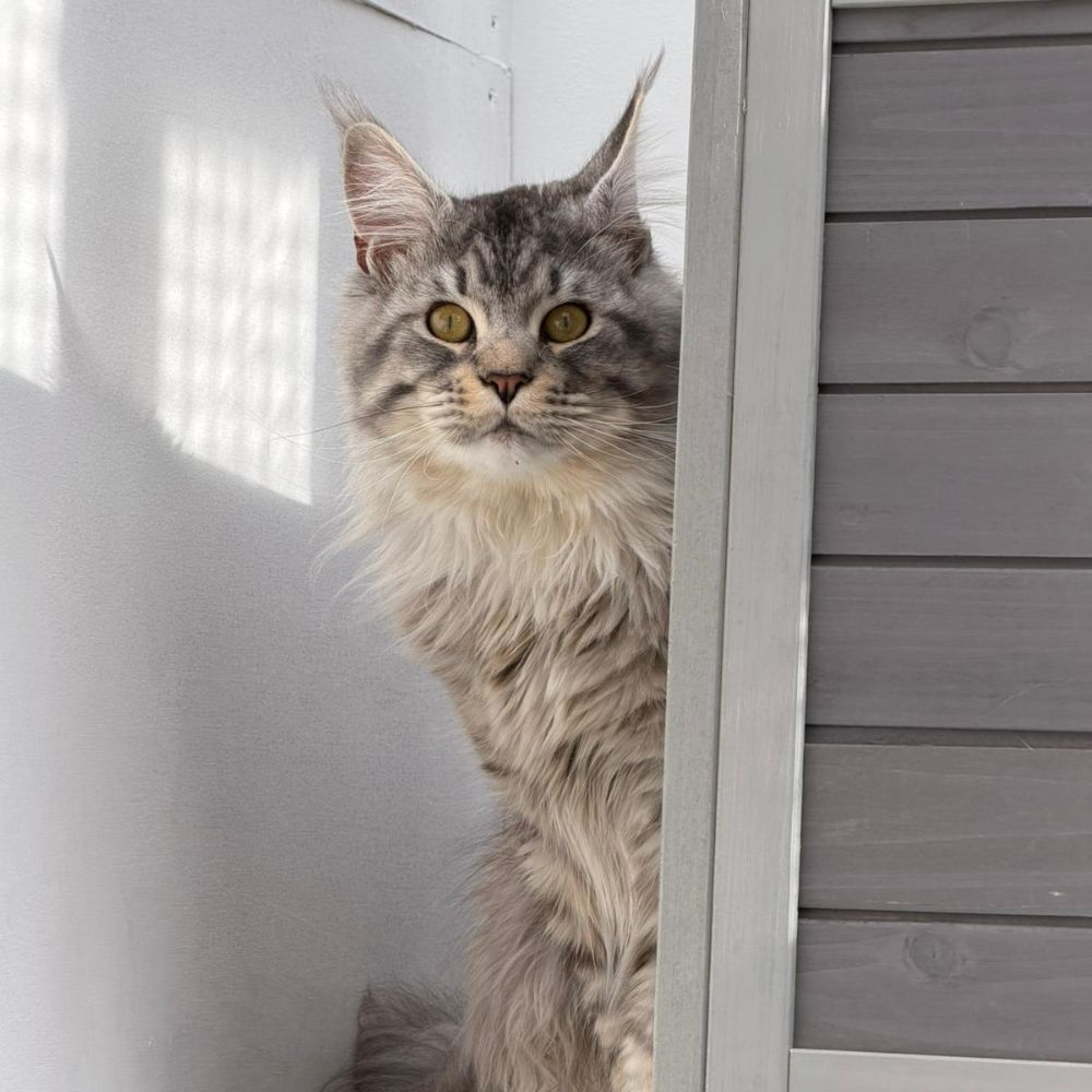 Starsky
